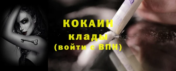 ГАЛЛЮЦИНОГЕННЫЕ ГРИБЫ Аркадак
