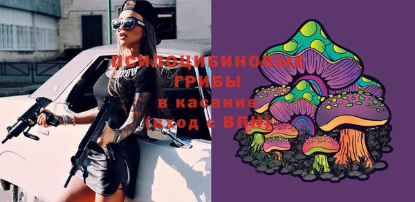 круглые Арсеньев
