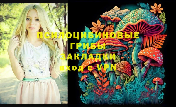 гидропоника Армянск