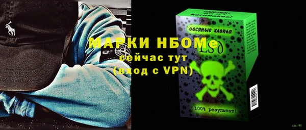 ГАЛЛЮЦИНОГЕННЫЕ ГРИБЫ Аркадак